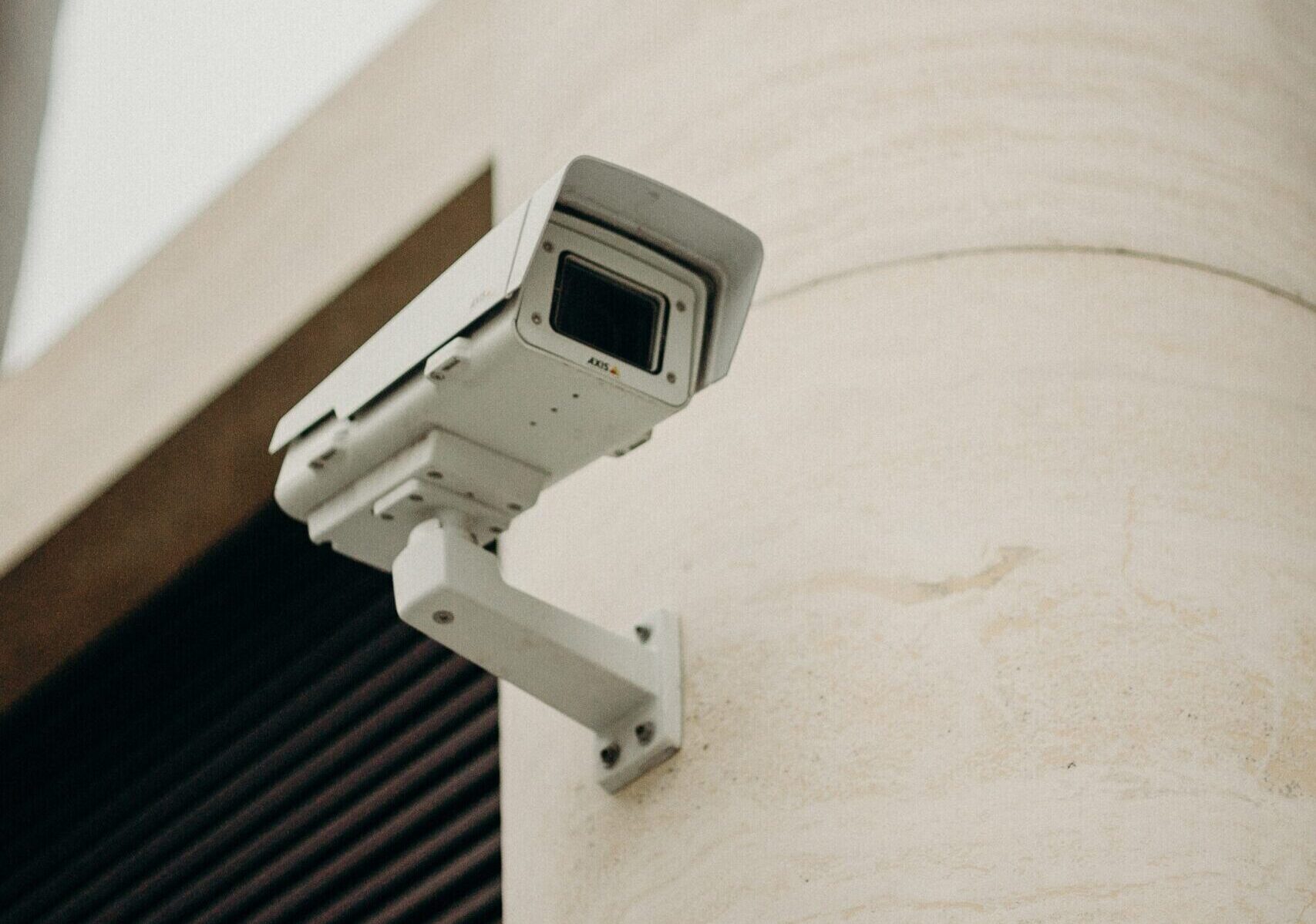 pexels-cottonbro-3205735